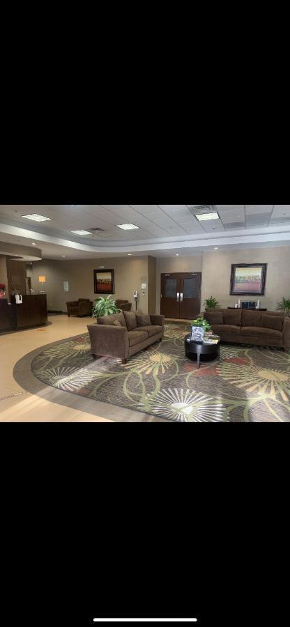 Wyndham Garden Dover Exterior foto